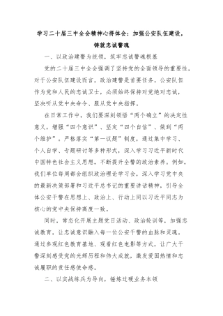 学习二十届三中全会精神心得体会：加强公安队伍建设，铸就忠诚警魂