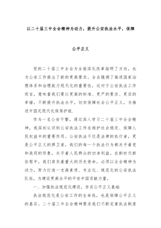 以二十届三中全会精神为动力，提升公安执法水平，保障公平正义