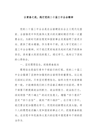 以青春之我，践行党的二十届三中全会精神