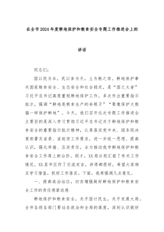 在全市2024年度耕地保护和粮食安全专题工作推进会上的讲话