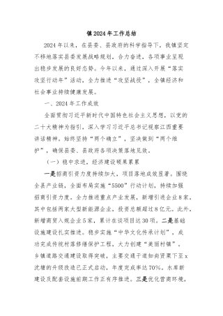 镇2024年工作总结