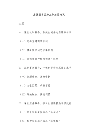 志愿服务品牌工作建设情况