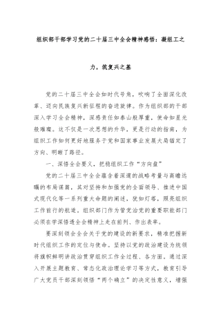 组织部干部学习党的二十届三中全会精神感悟：凝组工之力，筑复兴之基