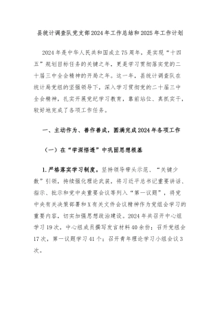 县统计调查队党支部2024年工作总结和2025年工作计划