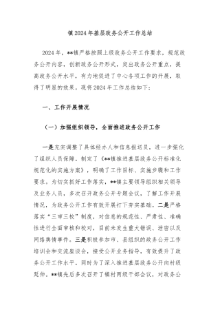 镇2024年基层政务公开工作总结