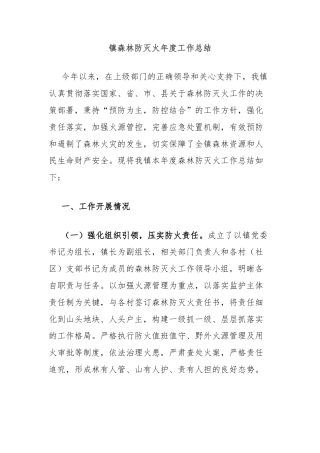 镇森林防灭火年度工作总结