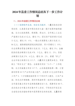 2024年县委工作情况总结及下一步工作计划