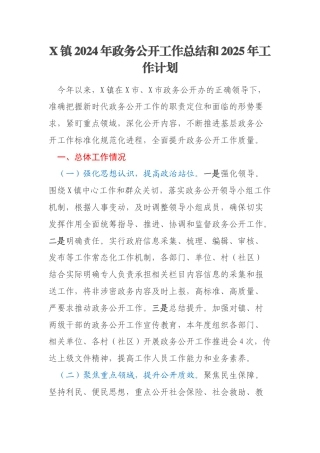 X镇2024年政务公开工作总结和2025年工作计划