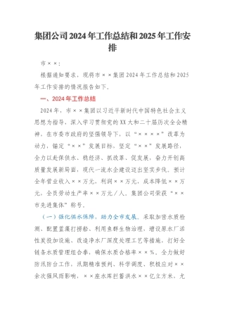 集团公司2024年工作总结和2025年工作安排