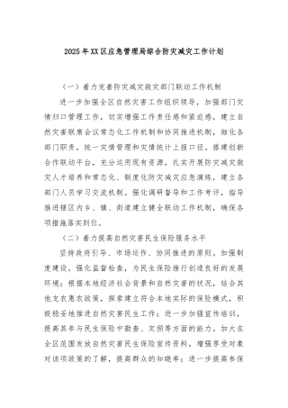 2025年XX区应急管理局综合防灾减灾工作计划