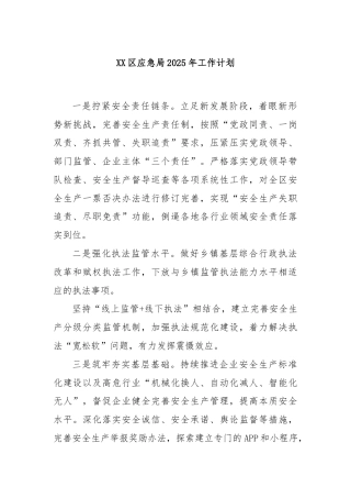 XX区应急局2025年工作计划