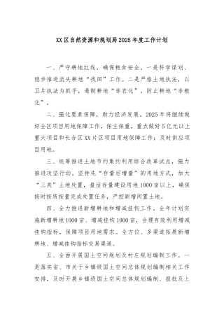 XX区自然资源和规划局2025年度工作计划