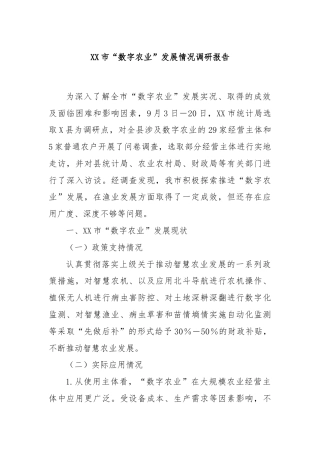 XX市“数字农业”发展情况调研报告