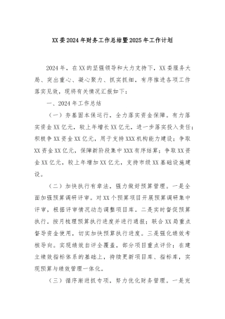 XX委2024年财务工作总结暨2025年工作计划