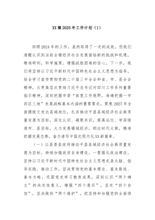 XX镇2025年工作计划（1）