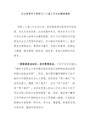 办公室青年干部学习二十届三中全会精神感悟