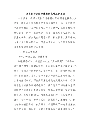 党支部书记述职述廉述党建工作报告