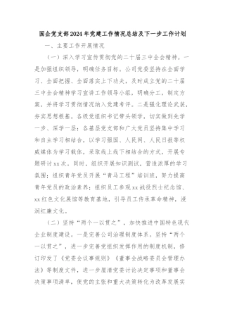 国企党支部2024年党建工作情况总结及下一步工作计划
