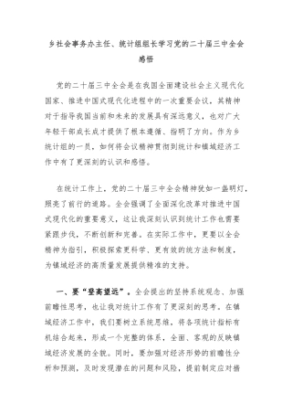 乡社会事务办主任、统计组组长学习党的二十届三中全会感悟
