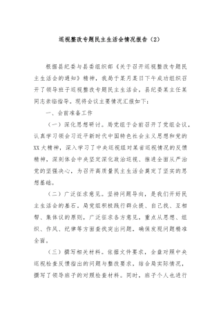 巡视整改专题民主生活会情况报告（2）
