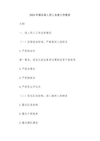 2024年国企选人用人自查工作报告