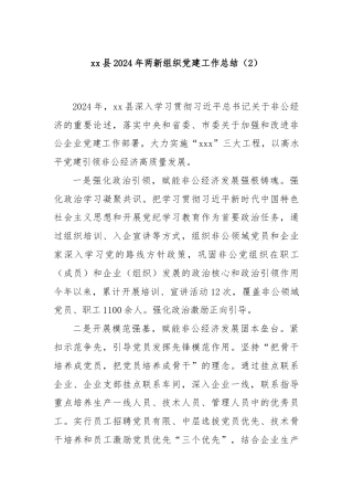 xx县2024年两新组织党建工作总结（2）