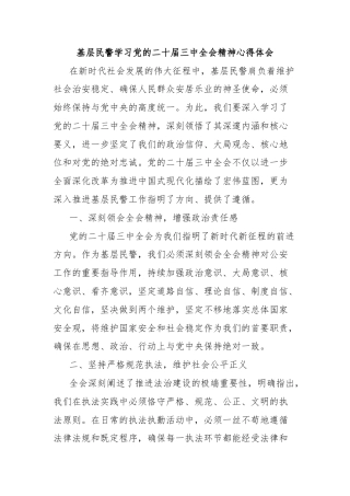 基层民警学习党的二十届三中全会精神心得体会