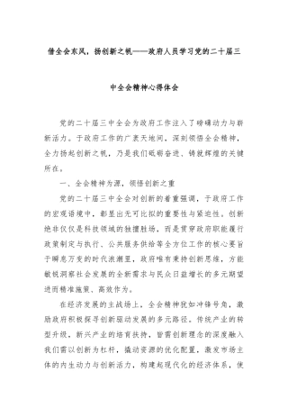 借全会东风，扬创新之帆——政府人员学习党的二十届三中全会精神心得体会