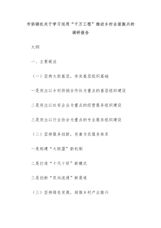 市供销社关于学习运用“千万工程”推动乡村全面振兴的调研报告