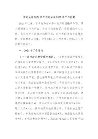市司法局2024年工作总结及2025年工作打算