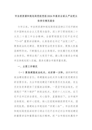 市自然资源和规划局党组党组2024年落实全面从严治党主体责任情况报告