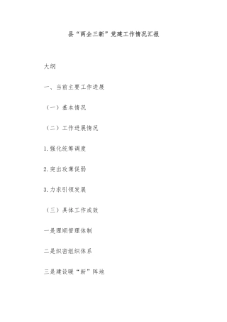 县“两企三新”党建工作情况汇报