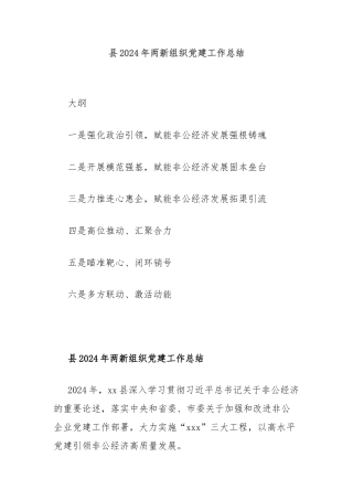 县2024年两新组织党建工作总结