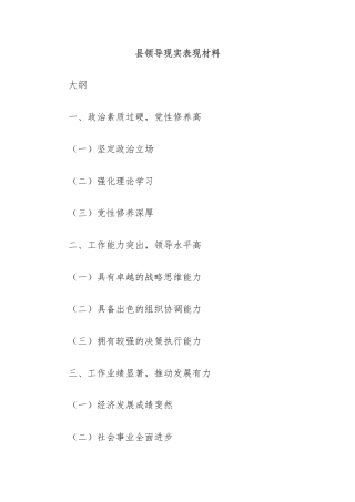 县领导现实表现材料