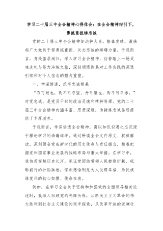 学习二十届三中全会精神心得体会：在全会精神指引下，勇挑重担铸忠诚