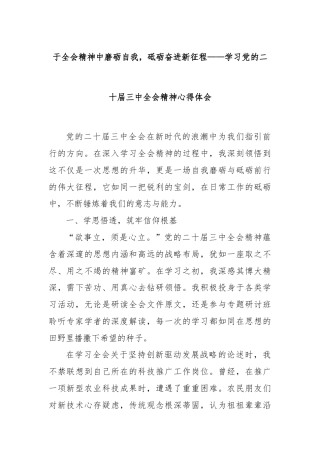 于全会精神中磨砺自我，砥砺奋进新征程——学习党的二十届三中全会精神心得体会
