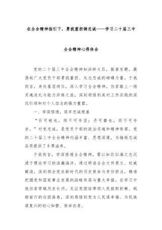 在全会精神指引下，勇挑重担铸忠诚——学习二十届三中全会精神心得体会