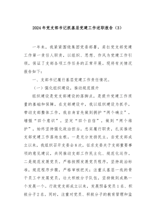 2024年党支部书记抓基层党建工作述职报告（3）