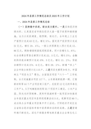2024年县委工作情况总结及2025年工作计划