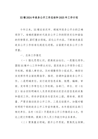 XX镇2024年政务公开工作总结和2025年工作计划