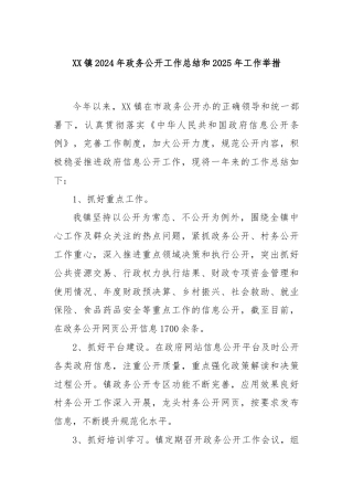 XX镇2024年政务公开工作总结和2025年工作举措