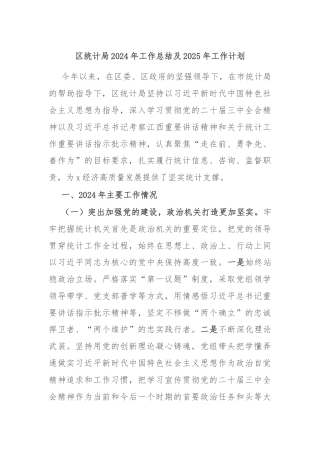 区统计局2024年工作总结及2025年工作计划
