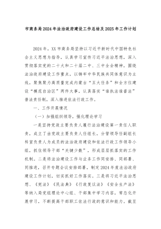 市商务局2024年法治政府建设工作总结及2025年工作计划