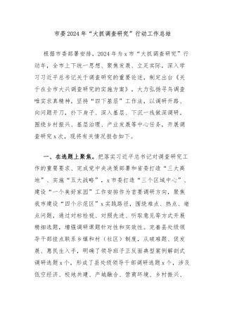 市委2024年“大抓调查研究”行动工作总结