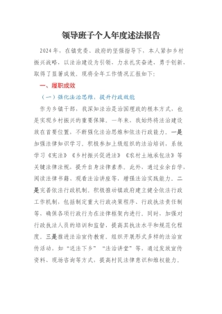 领导班子个人年度述法报告