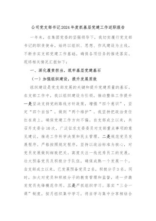 公司党支部书记2024年度抓基层党建工作述职报告