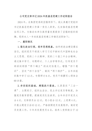 公司党支部书记2024年抓基层党建工作述职报告