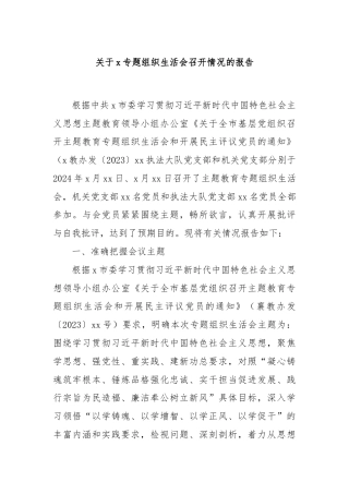 关于x专题组织生活会召开情况的报告