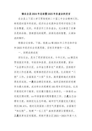 镇在全县2024年总结暨2025年务虚会的发言