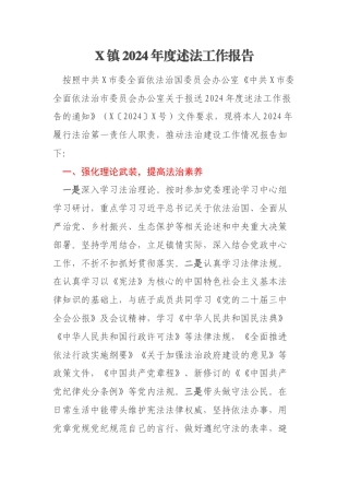 X镇2024年度述法工作报告
